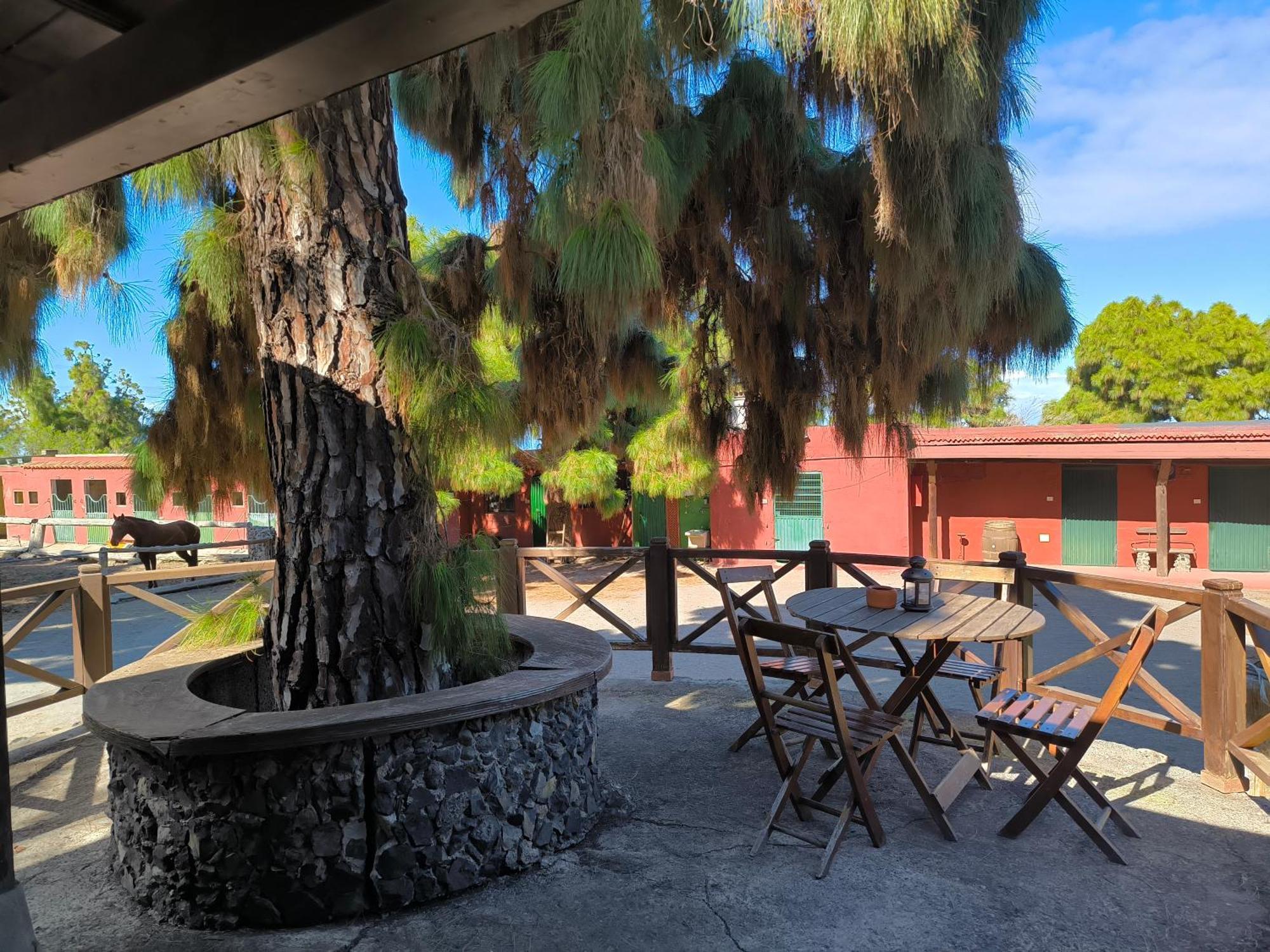 Buen Paso Villa Icod De Los Vinos Exterior photo