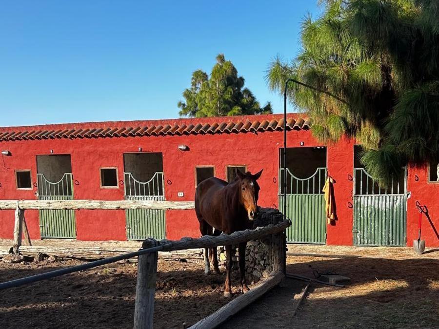 Buen Paso Villa Icod De Los Vinos Exterior photo